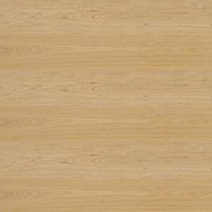 NASS-񸶷2T-OAK U.V