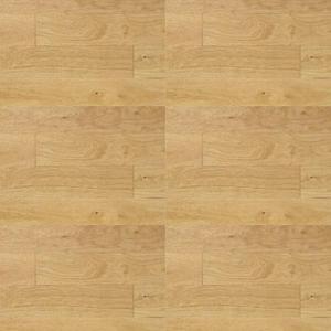 NASS-񸶷3T-OAK BRUSH